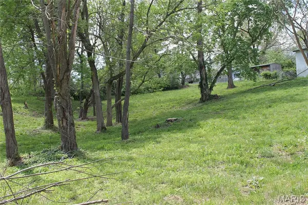 0 Virginia Street Lot 13, St Clair, MO 63077