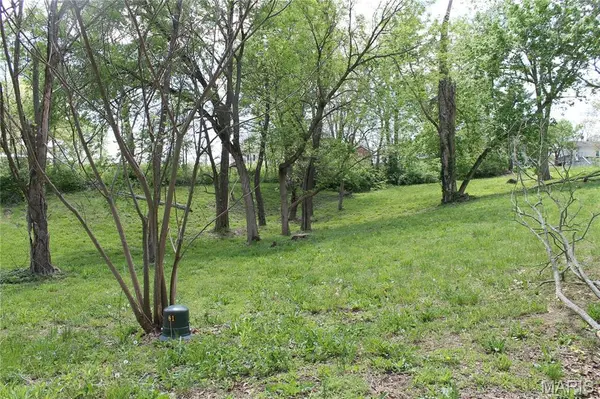 0 Virginia Street Lot 13, St Clair, MO 63077
