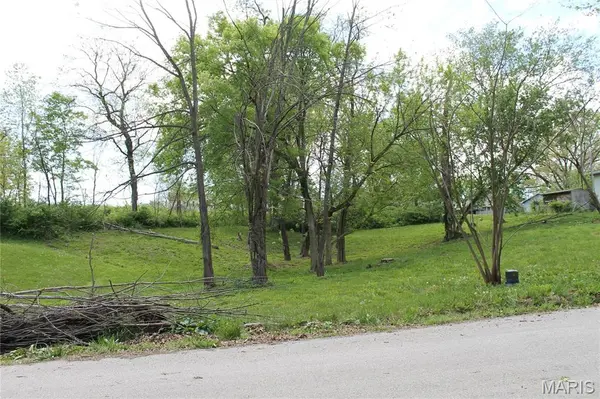 0 Virginia Street Lot 12, St Clair, MO 63077