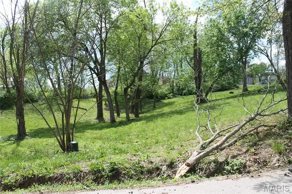 0 Virginia Street Lot 12, St Clair, MO 63077
