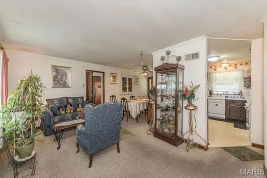 19 Forest Home CT, St Louis, MO 63137