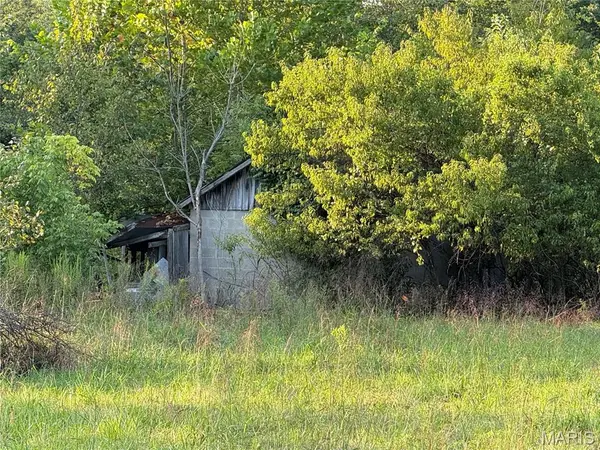 475 County Road 157, Des Arc, MO 63636