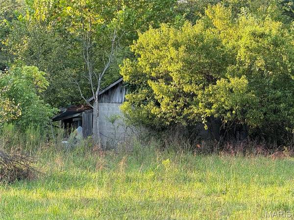 475 County Road 157, Des Arc, MO 63636