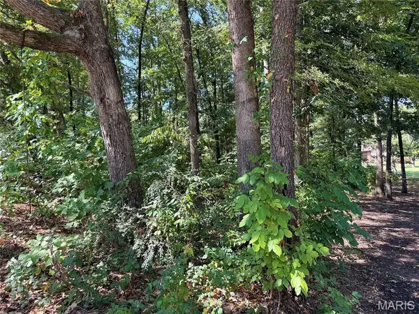 00 Sylvan DR, Poplar Bluff, MO 63901