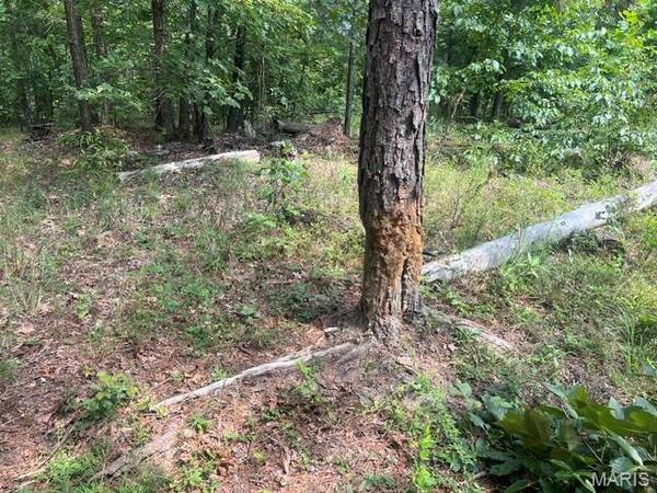 0 County Road 341, Piedmont, MO 63957