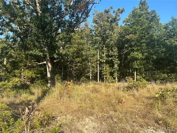 000 County Road 2340, Salem, MO 65560