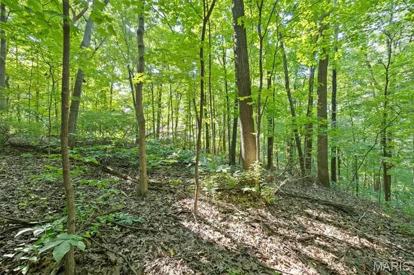 1013 Berry LN, Edwardsville, IL 62025