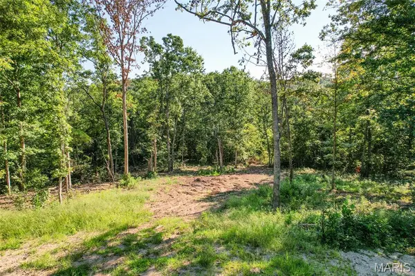16902 State Highway F, Potosi, MO 63664