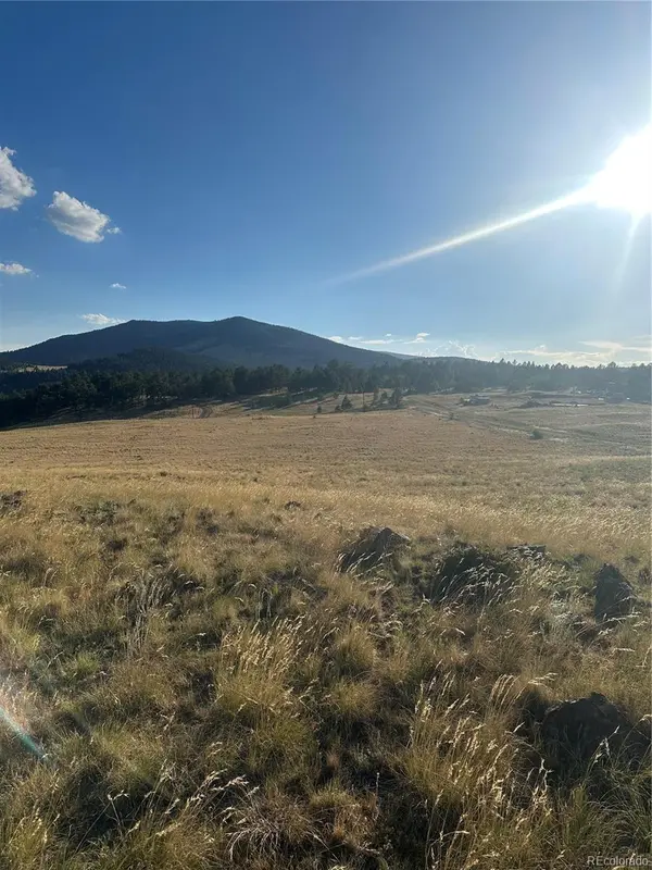 290 Castle Mountain DR, Florissant, CO 80816