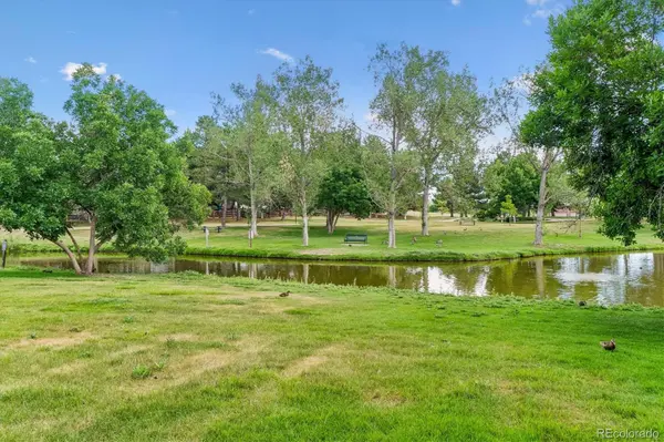10417 Red MTN, Littleton, CO 80127