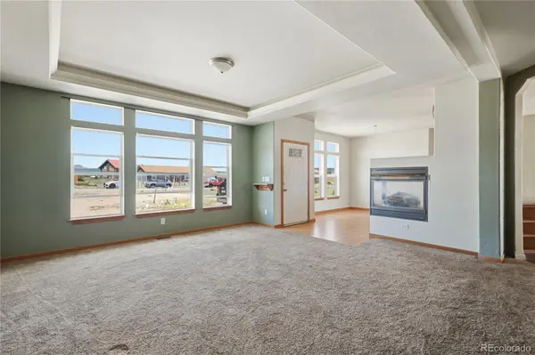 1309 Meadow DR, Fairplay, CO 80440
