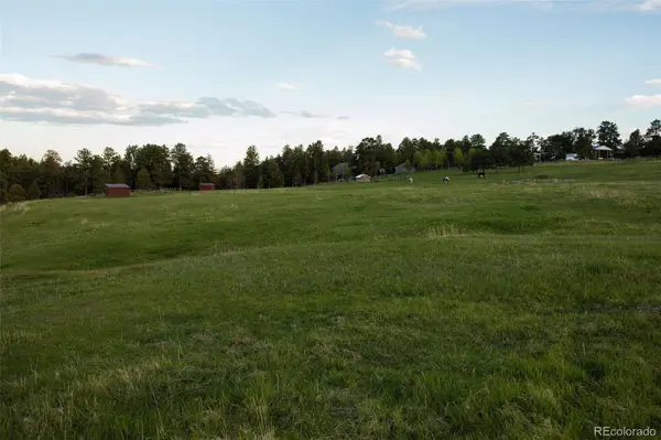 Bear Mountain DR, Evergreen, CO 80439