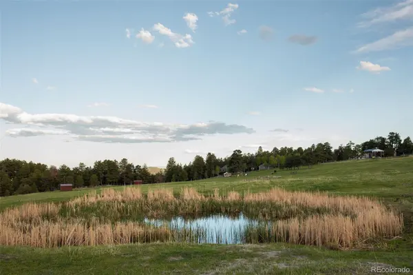Bear Mountain DR, Evergreen, CO 80439