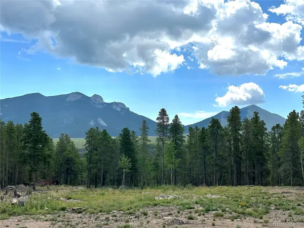 754 Mountain Meadows DR, Black Hawk, CO 80422