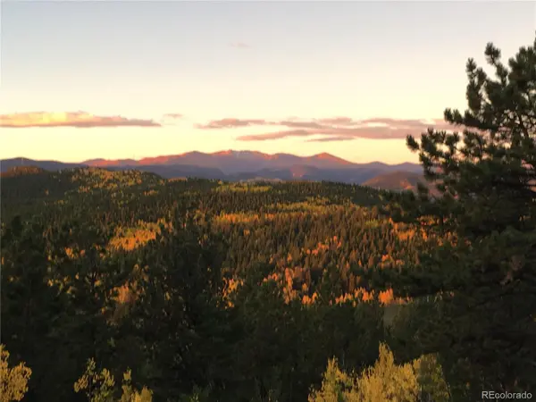 01 Alps Hill RD, Central City, CO 80427