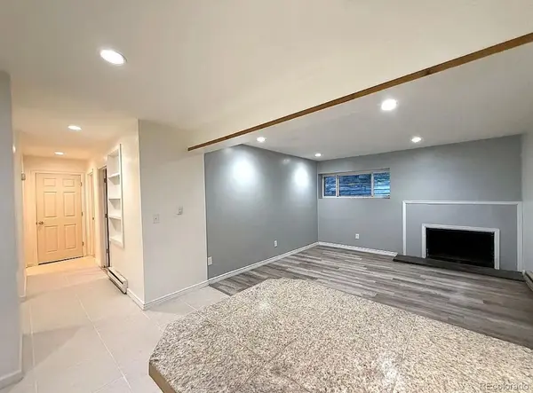 9366 Fall River RD #106, Idaho Springs, CO 80452