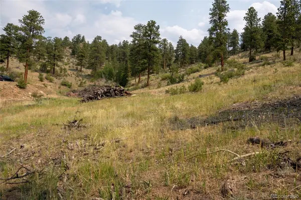 13990 Pine Valley RD, Pine, CO 80470