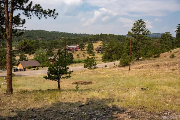 13990 Pine Valley RD, Pine, CO 80470