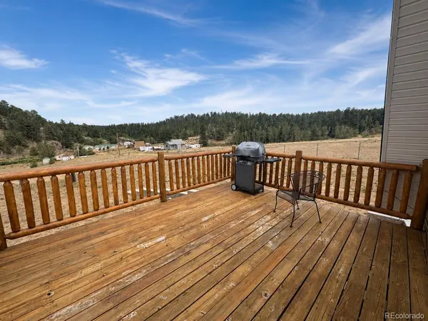 15 Dogie TRL, Florissant, CO 80816