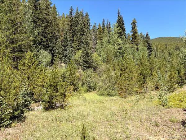 FOOL'S LUCK, Black Hawk, CO 80422