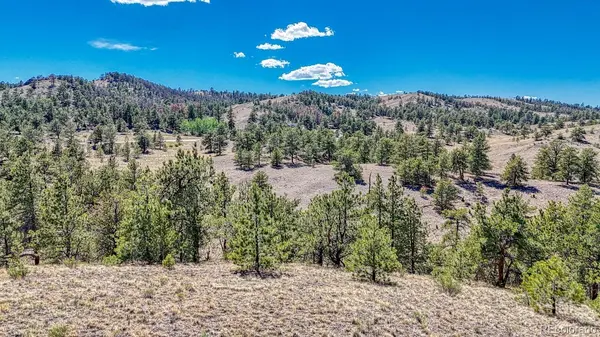 Lot 11 Hwy 9, Hartsel, CO 80449