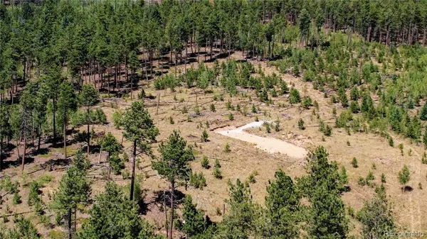 Lot 4 County Road 51, Florissant, CO 80816