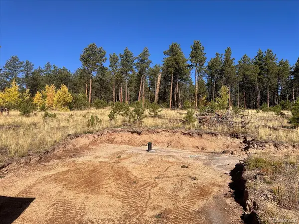 Lot 4 County Road 51, Florissant, CO 80816