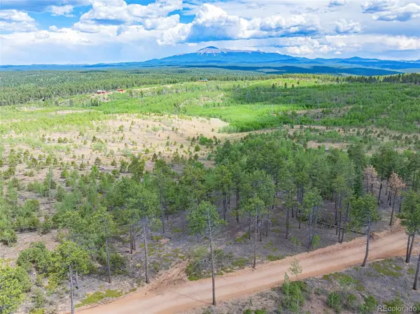 Lot 4 County Road 51, Florissant, CO 80816