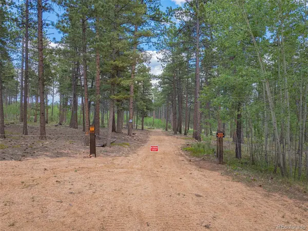 Lot 4 County Road 51, Florissant, CO 80816
