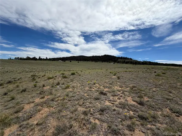 776 Commanche TRL, Hartsel, CO 80449