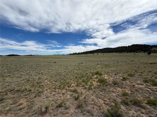 776 Commanche TRL, Hartsel, CO 80449