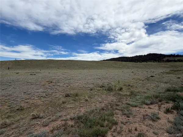 776 Commanche TRL, Hartsel, CO 80449