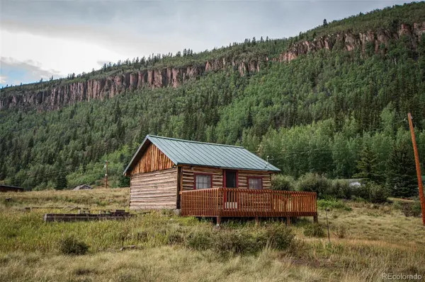 4100 USFS 515 RD #286, Creede, CO 81130