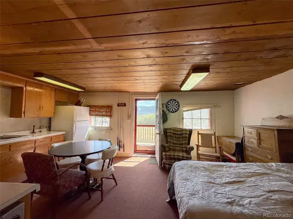 4100 USFS 515 RD #286, Creede, CO 81130