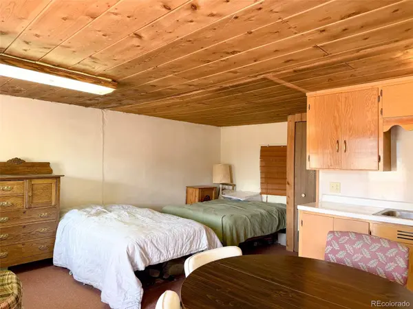 4100 USFS 515 RD #286, Creede, CO 81130