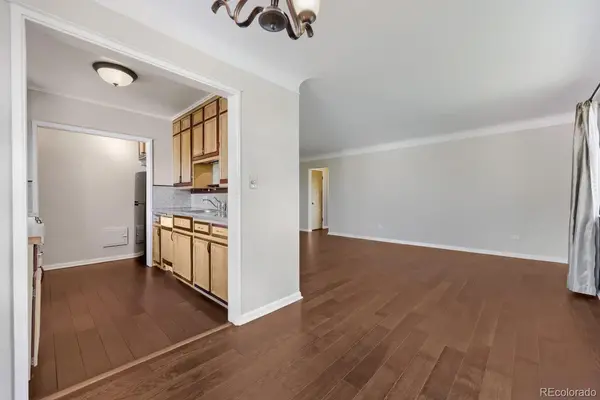 1175 N Emerson ST #312, Denver, CO 80218