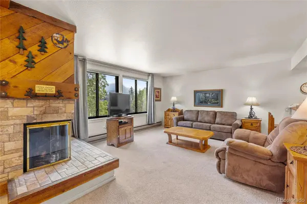 166 Argentine CT #1433, Dillon, CO 80435