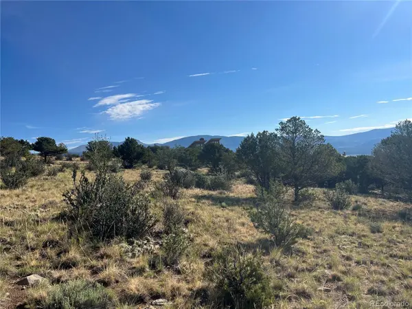 30460 Promontory, Buena Vista, CO 81211