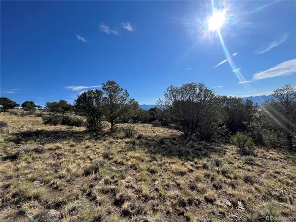 30460 Promontory, Buena Vista, CO 81211