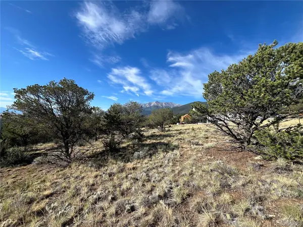 30460 Promontory, Buena Vista, CO 81211