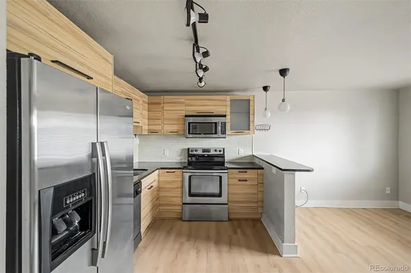 120 S Pennsylvania ST #302, Denver, CO 80209
