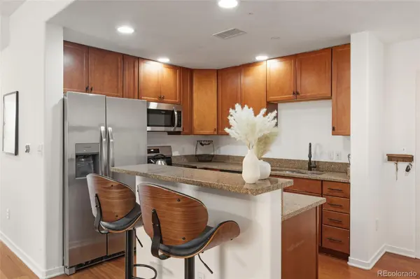 722 Washington AVE #306, Golden, CO 80401