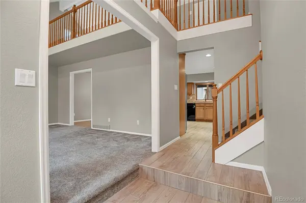 6525 White Falcon CT, Colorado Springs, CO 80919