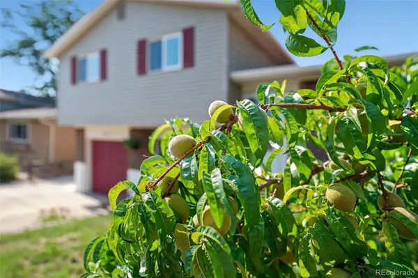 6450 W 108th PL, Broomfield, CO 80020