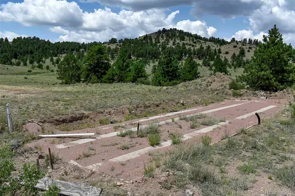 376 Copeland RD, Guffey, CO 80820