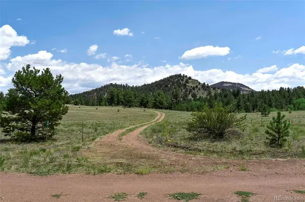 376 Copeland RD, Guffey, CO 80820
