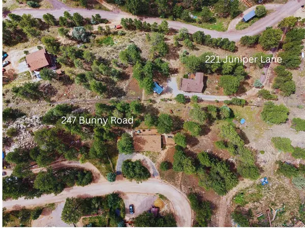 247 Bunny RD, Bailey, CO 80421