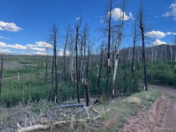 968 Hunington LN, Fort Garland, CO 81133