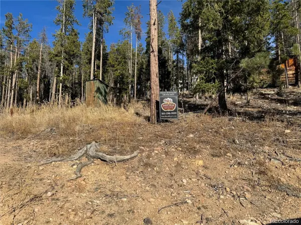 Pleasant Park RD, Conifer, CO 80433