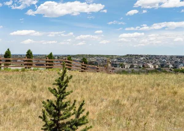 465 Silver Rock TRL, Castle Rock, CO 80104